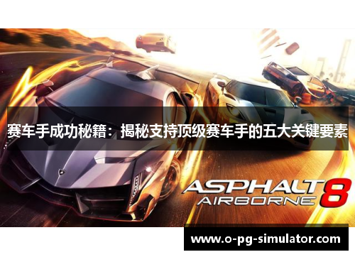 赛车手成功秘籍：揭秘支持顶级赛车手的五大关键要素