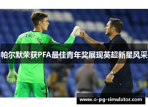 帕尔默荣获PFA最佳青年奖展现英超新星风采