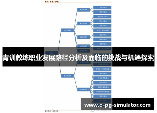 青训教练职业发展路径分析及面临的挑战与机遇探索