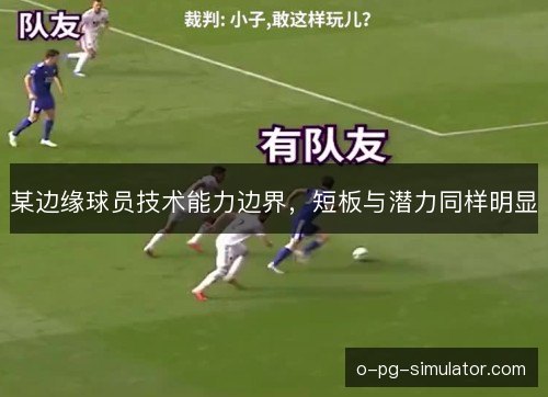某边缘球员技术能力边界，短板与潜力同样明显